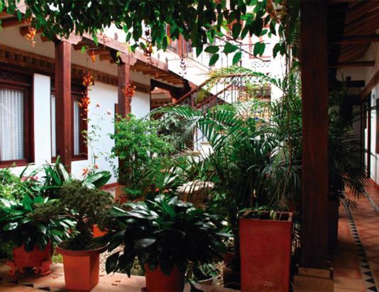 Hotel Boutique La Espanola 비야 데 레이바 외부 사진